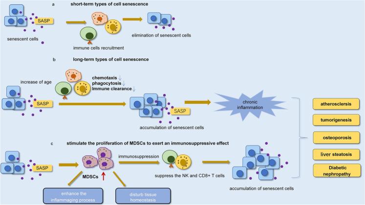https://cdn.ncbi.nlm.nih.gov/pmc/blobs/adaa/9153125/840a672f841e/13578_2022_815_Fig4_HTML.jpg