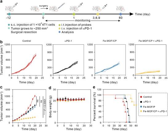 https://cdn.ncbi.nlm.nih.gov/pmc/blobs/adaf/11481222/0a9ec0d5a214/ADVS-11-2405826-g008.jpg