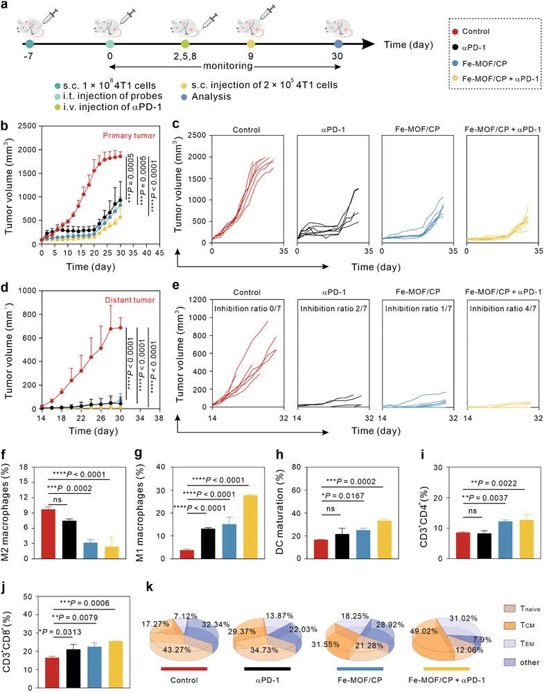 https://cdn.ncbi.nlm.nih.gov/pmc/blobs/adaf/11481222/58d1e2d7078e/ADVS-11-2405826-g006.jpg
