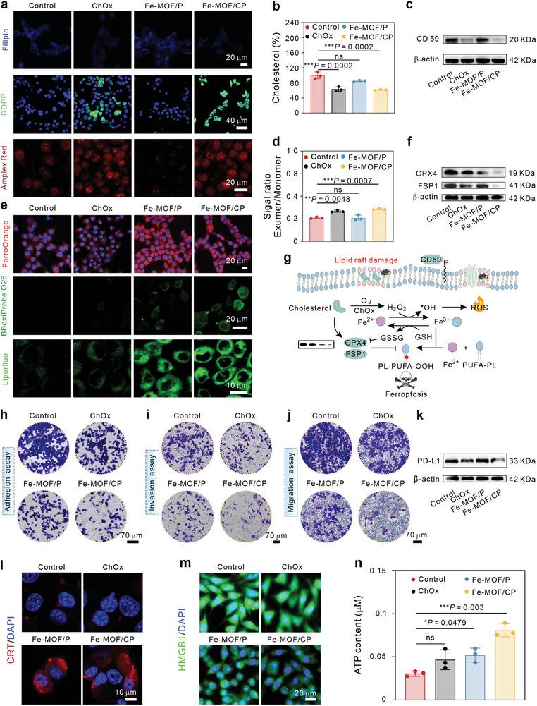 https://cdn.ncbi.nlm.nih.gov/pmc/blobs/adaf/11481222/d6cfc105bcbd/ADVS-11-2405826-g003.jpg