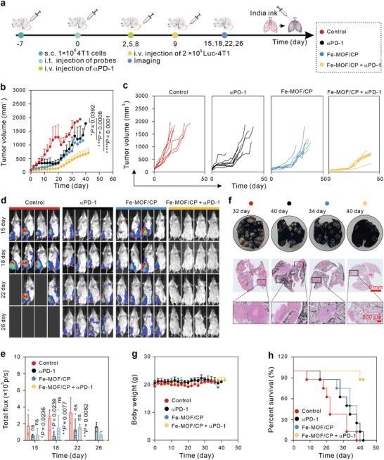 https://cdn.ncbi.nlm.nih.gov/pmc/blobs/adaf/11481222/e7ce2f89448d/ADVS-11-2405826-g007.jpg