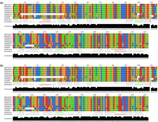 https://cdn.ncbi.nlm.nih.gov/pmc/blobs/adaf/2903599/13376f9fbc46/1748-7188-5-22-4.jpg