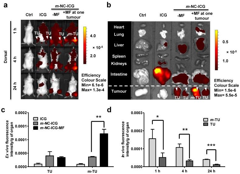 https://cdn.ncbi.nlm.nih.gov/pmc/blobs/adaf/4737722/020d0ebc1074/thnov06p0342g003.jpg