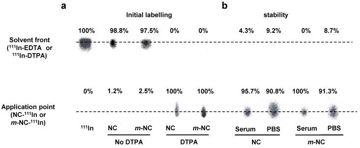 https://cdn.ncbi.nlm.nih.gov/pmc/blobs/adaf/4737722/6ba423e0c216/thnov06p0342g004.jpg