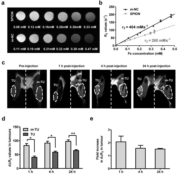 https://cdn.ncbi.nlm.nih.gov/pmc/blobs/adaf/4737722/e80fa8955190/thnov06p0342g006.jpg