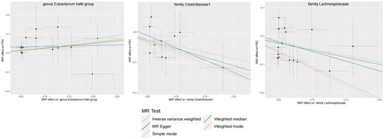 https://cdn.ncbi.nlm.nih.gov/pmc/blobs/adb0/11004368/8f504249b2f0/fmicb-15-1348027-g005.jpg