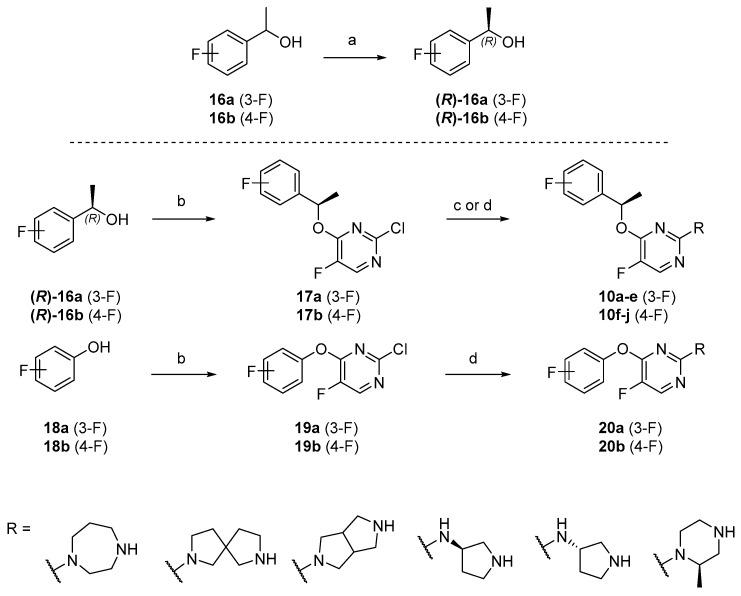 https://cdn.ncbi.nlm.nih.gov/pmc/blobs/adb0/6767204/ec0b9b3d5d88/molecules-24-03234-sch002.jpg