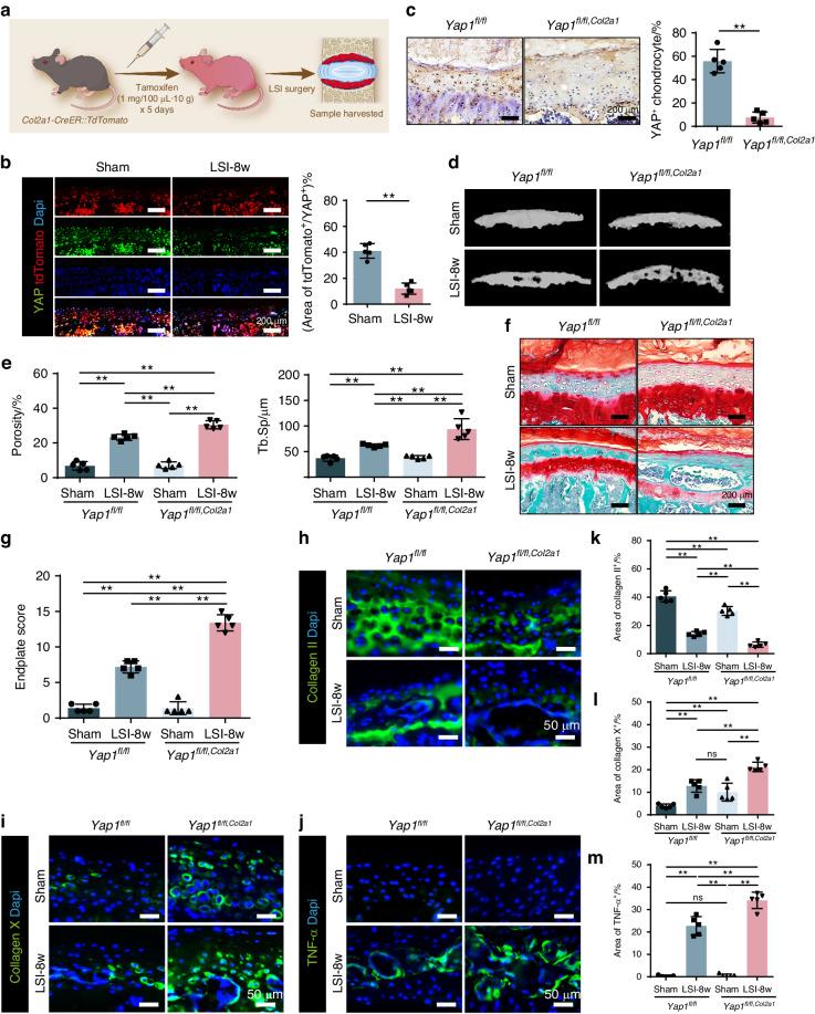 https://cdn.ncbi.nlm.nih.gov/pmc/blobs/adb1/11139958/224d07215112/41413_2024_331_Fig5_HTML.jpg