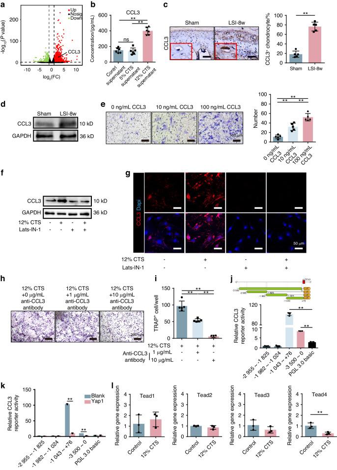 https://cdn.ncbi.nlm.nih.gov/pmc/blobs/adb1/11139958/6eb997bafbb9/41413_2024_331_Fig8_HTML.jpg