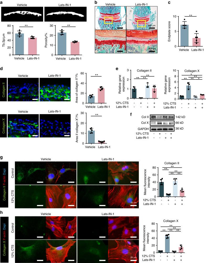 https://cdn.ncbi.nlm.nih.gov/pmc/blobs/adb1/11139958/c354bc369abc/41413_2024_331_Fig6_HTML.jpg
