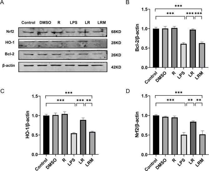 https://cdn.ncbi.nlm.nih.gov/pmc/blobs/adb2/12012220/2e1467e95417/41598_2025_95379_Fig14_HTML.jpg