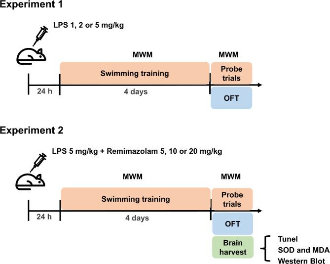 https://cdn.ncbi.nlm.nih.gov/pmc/blobs/adb2/12012220/43a99e719c02/41598_2025_95379_Fig1_HTML.jpg