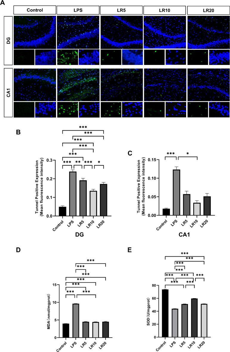https://cdn.ncbi.nlm.nih.gov/pmc/blobs/adb2/12012220/66534da59197/41598_2025_95379_Fig5_HTML.jpg