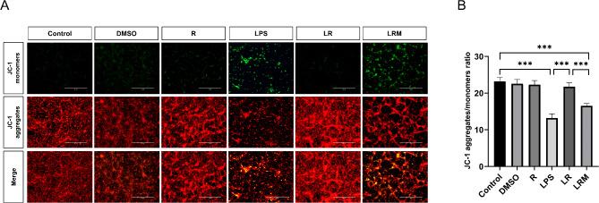https://cdn.ncbi.nlm.nih.gov/pmc/blobs/adb2/12012220/67d3df250e91/41598_2025_95379_Fig13_HTML.jpg