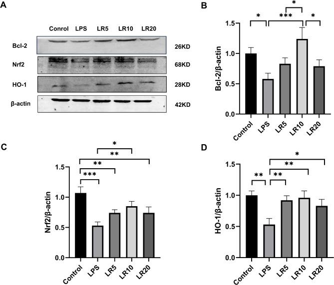 https://cdn.ncbi.nlm.nih.gov/pmc/blobs/adb2/12012220/82b42fb2f42e/41598_2025_95379_Fig6_HTML.jpg