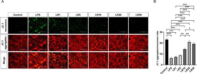 https://cdn.ncbi.nlm.nih.gov/pmc/blobs/adb2/12012220/baf8ba1571f2/41598_2025_95379_Fig10_HTML.jpg