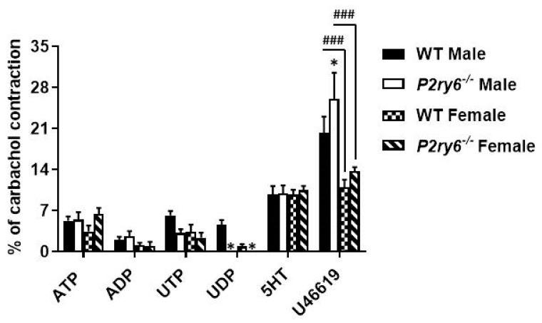 https://cdn.ncbi.nlm.nih.gov/pmc/blobs/adb2/7911947/0179d2d6ce50/biomolecules-11-00147-g006.jpg