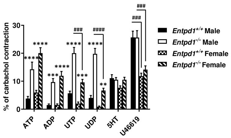 https://cdn.ncbi.nlm.nih.gov/pmc/blobs/adb2/7911947/24e645b11ecb/biomolecules-11-00147-g004.jpg