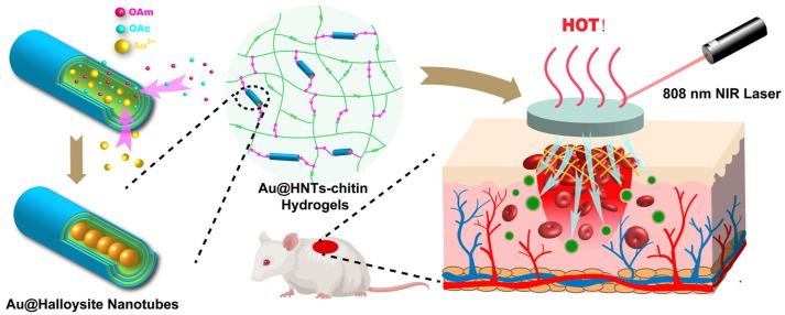 https://cdn.ncbi.nlm.nih.gov/pmc/blobs/adb5/10343471/df160de7e44c/molecules-28-05264-g007.jpg