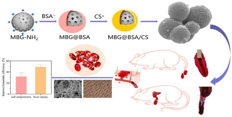 https://cdn.ncbi.nlm.nih.gov/pmc/blobs/adb5/10343471/f9c7c414e354/molecules-28-05264-g002.jpg