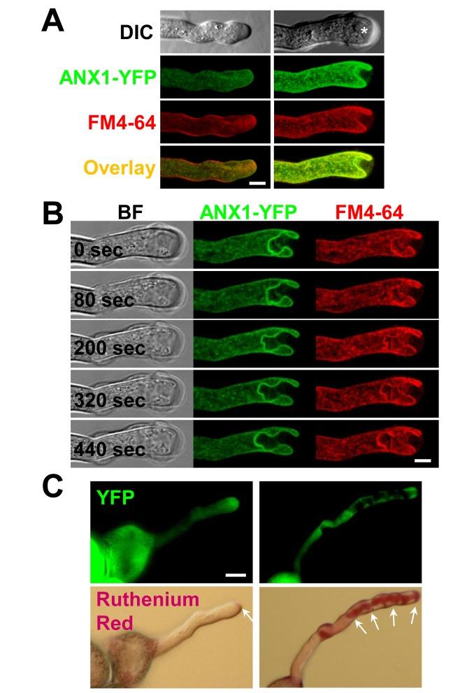 https://cdn.ncbi.nlm.nih.gov/pmc/blobs/adb5/3841104/929f57474517/pbio.1001719.g002.jpg