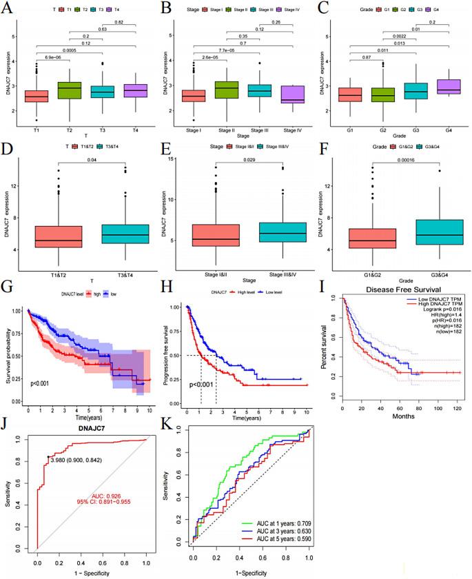 https://cdn.ncbi.nlm.nih.gov/pmc/blobs/adb6/12045834/0ed71f5376ea/432_2025_6202_Fig2_HTML.jpg