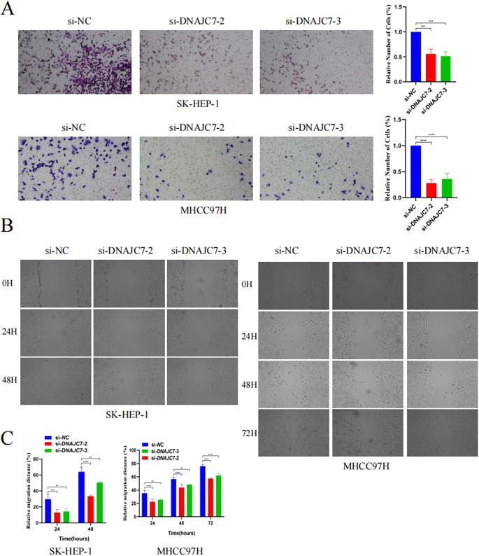 https://cdn.ncbi.nlm.nih.gov/pmc/blobs/adb6/12045834/7074d6f5daea/432_2025_6202_Fig4_HTML.jpg