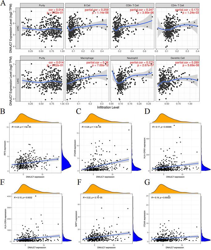 https://cdn.ncbi.nlm.nih.gov/pmc/blobs/adb6/12045834/a0aa36e1d4ea/432_2025_6202_Fig7_HTML.jpg