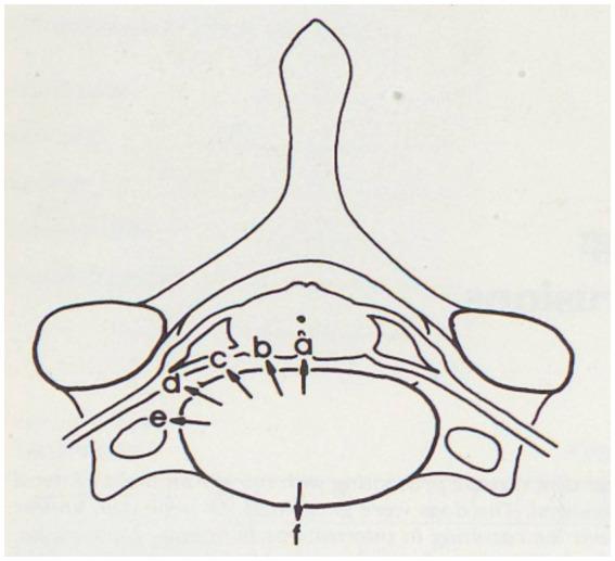 https://cdn.ncbi.nlm.nih.gov/pmc/blobs/adb8/11600107/b51c90fd3751/fvets-11-1465182-g001.jpg