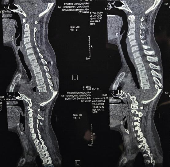 https://cdn.ncbi.nlm.nih.gov/pmc/blobs/adb9/12064271/cd3b3d2ad8c5/JOCR-15-80-g002.jpg