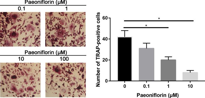 https://cdn.ncbi.nlm.nih.gov/pmc/blobs/adc1/8842535/1f5a6c617e91/13018_2022_2965_Fig11_HTML.jpg