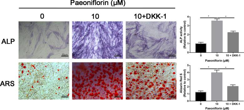 https://cdn.ncbi.nlm.nih.gov/pmc/blobs/adc1/8842535/28d37eb09121/13018_2022_2965_Fig8_HTML.jpg