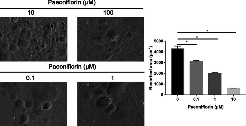 https://cdn.ncbi.nlm.nih.gov/pmc/blobs/adc1/8842535/53494c9b8137/13018_2022_2965_Fig12_HTML.jpg