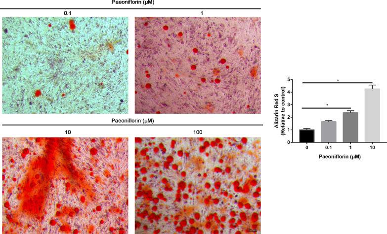 https://cdn.ncbi.nlm.nih.gov/pmc/blobs/adc1/8842535/cc79eef2a427/13018_2022_2965_Fig4_HTML.jpg