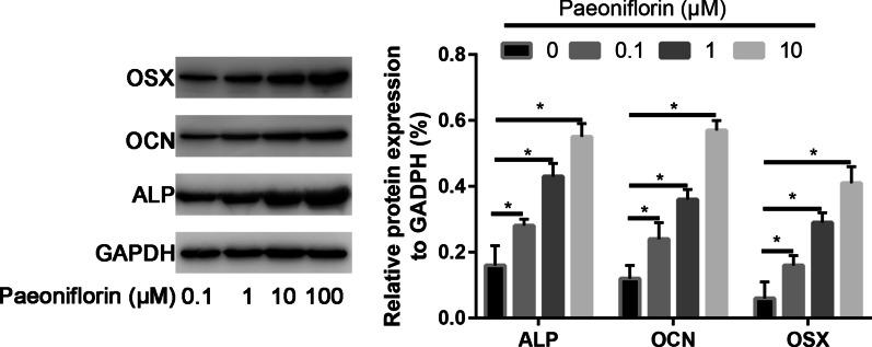 https://cdn.ncbi.nlm.nih.gov/pmc/blobs/adc1/8842535/fd57f27a104e/13018_2022_2965_Fig6_HTML.jpg