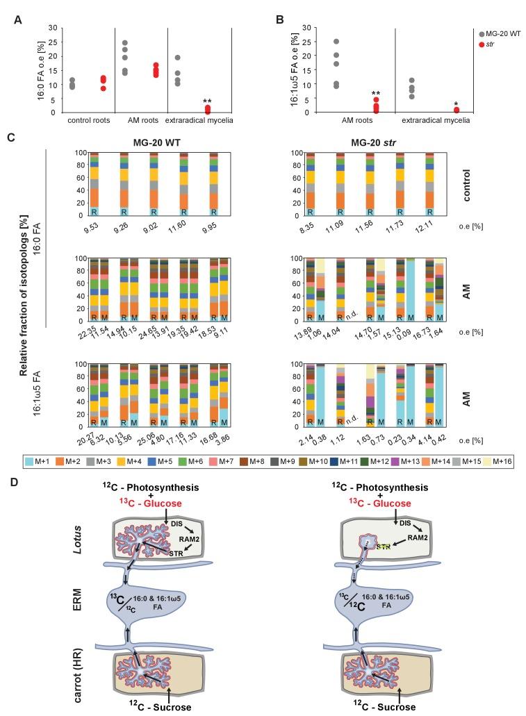 https://cdn.ncbi.nlm.nih.gov/pmc/blobs/adc2/5559270/be30ca740f2c/elife-29107-fig8-figsupp2.jpg