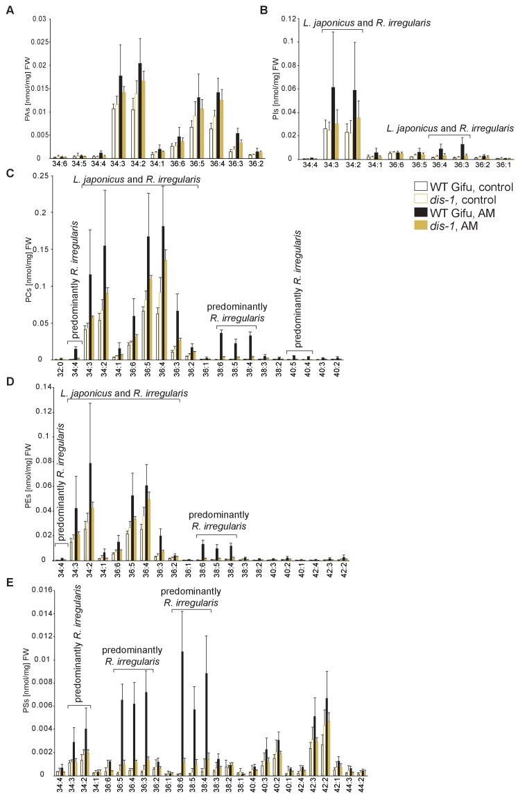 https://cdn.ncbi.nlm.nih.gov/pmc/blobs/adc2/5559270/c276517d8499/elife-29107-fig5-figsupp2.jpg