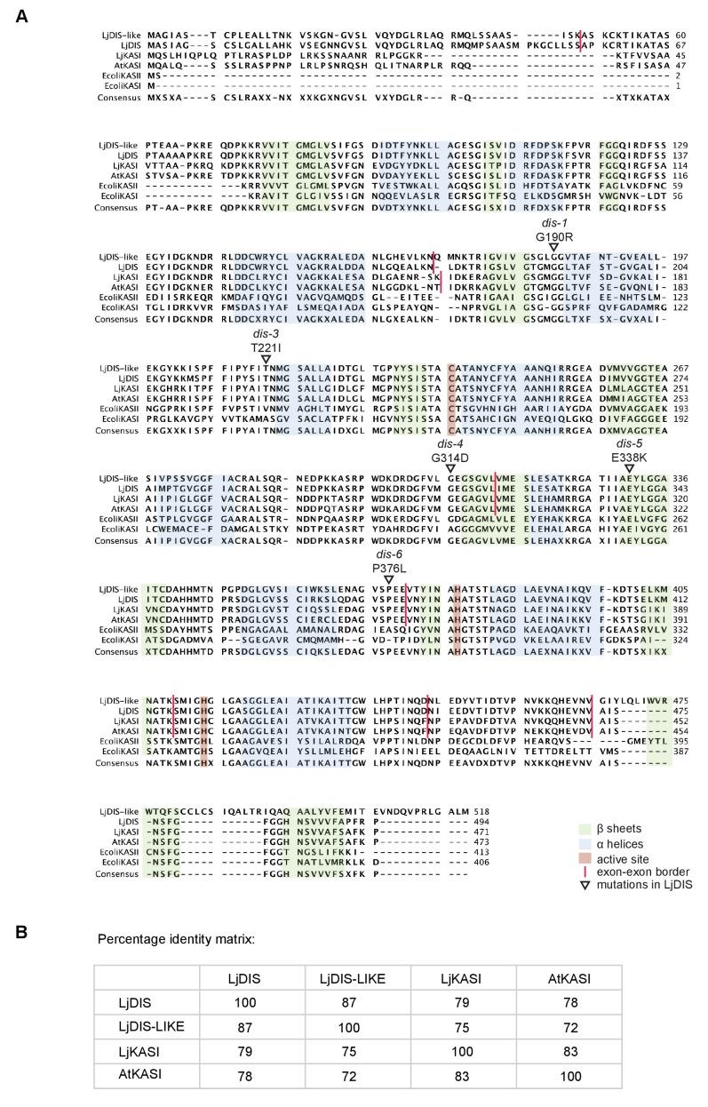 https://cdn.ncbi.nlm.nih.gov/pmc/blobs/adc2/5559270/f7b36ba196d6/elife-29107-fig1-figsupp2.jpg