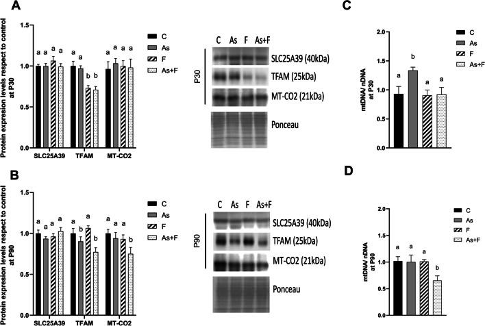 https://cdn.ncbi.nlm.nih.gov/pmc/blobs/adc3/11750905/3e864c7aa51f/12011_2024_4198_Fig3_HTML.jpg