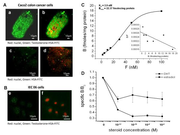 https://cdn.ncbi.nlm.nih.gov/pmc/blobs/adc4/2794856/9bacd6484ecc/1476-4598-8-114-2.jpg