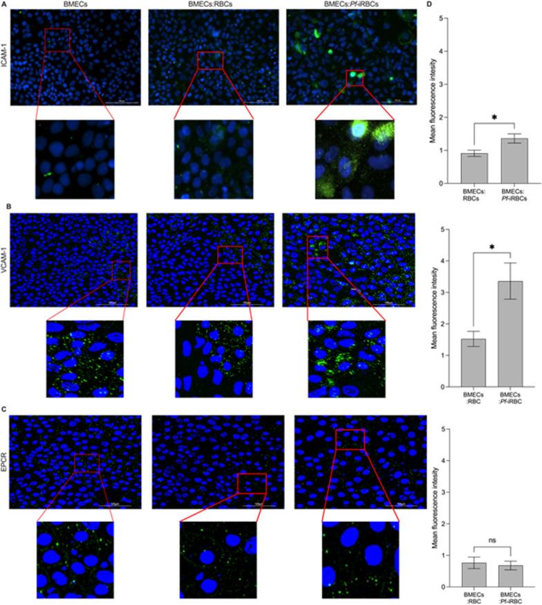 https://cdn.ncbi.nlm.nih.gov/pmc/blobs/adc5/11064301/3b355bef05a4/12987_2024_541_Fig3_HTML.jpg