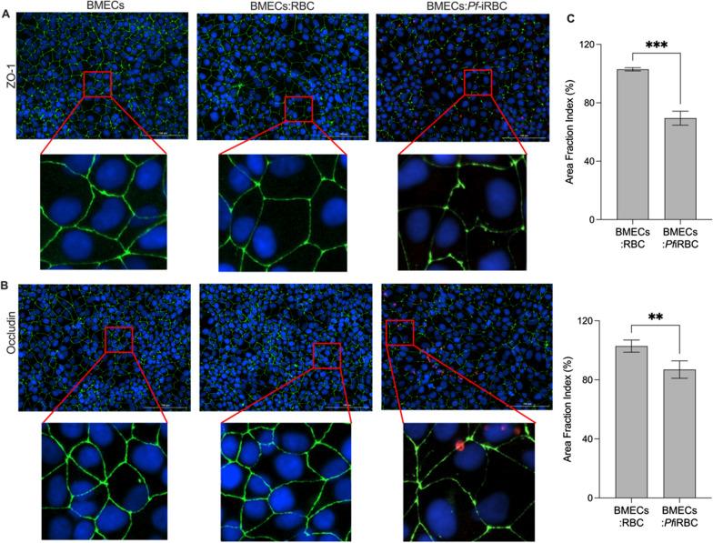 https://cdn.ncbi.nlm.nih.gov/pmc/blobs/adc5/11064301/d419a13d44e6/12987_2024_541_Fig2_HTML.jpg
