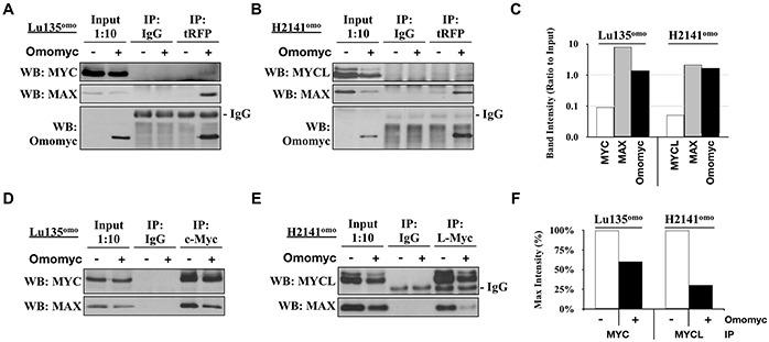 https://cdn.ncbi.nlm.nih.gov/pmc/blobs/adc5/5058735/7fe570a6b354/oncotarget-07-31014-g002.jpg
