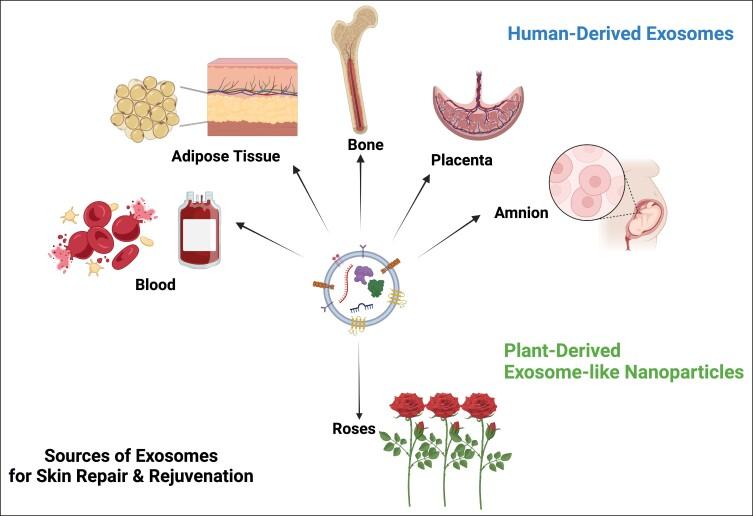 https://cdn.ncbi.nlm.nih.gov/pmc/blobs/adc6/11372705/95c531304aa1/ojae060f8.jpg