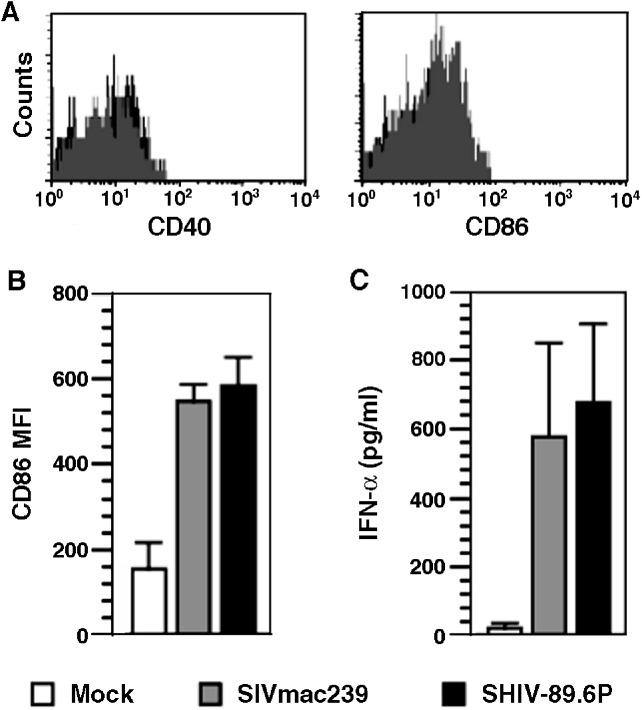 https://cdn.ncbi.nlm.nih.gov/pmc/blobs/adc9/7103308/4f7246ddb0df/gr7_lrg.jpg