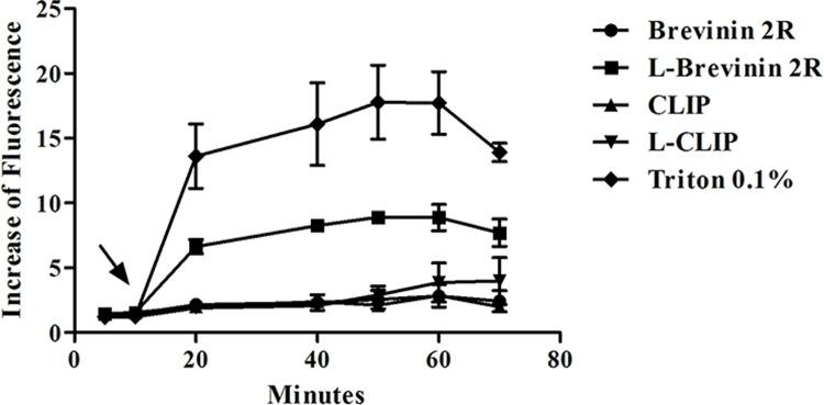 https://cdn.ncbi.nlm.nih.gov/pmc/blobs/adcb/6411200/deeab01a600f/pntd.0007217.g004.jpg