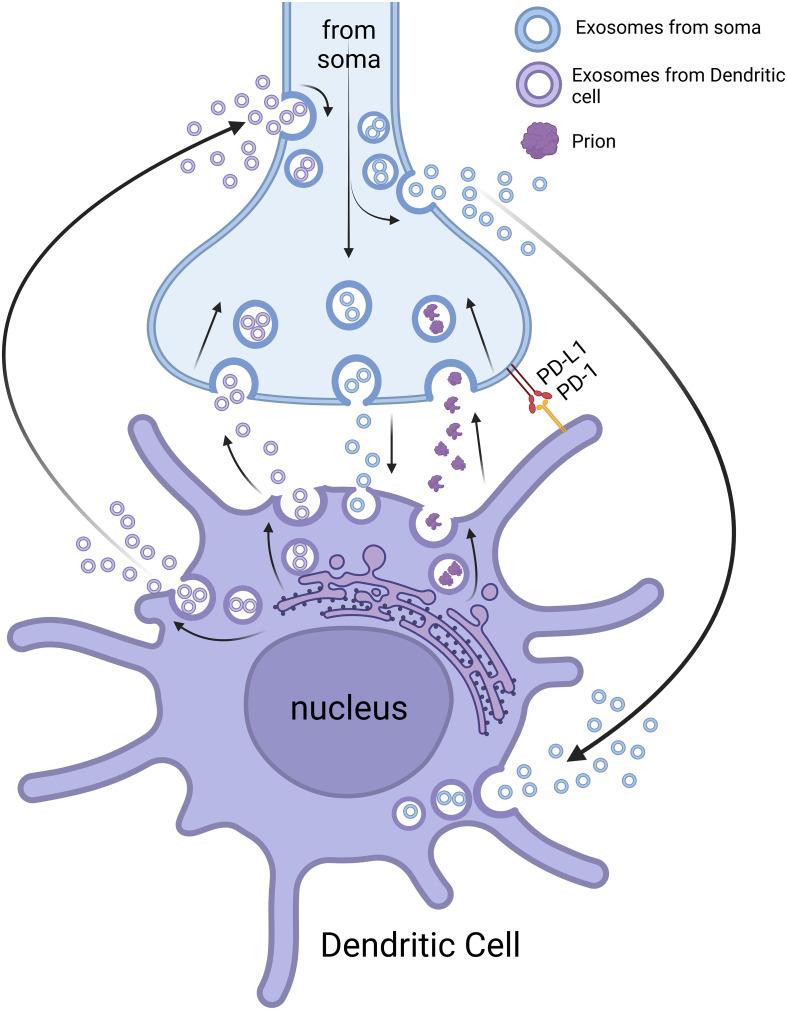 https://cdn.ncbi.nlm.nih.gov/pmc/blobs/adce/10520967/fed34845dc4f/fimmu-14-1254054-g002.jpg