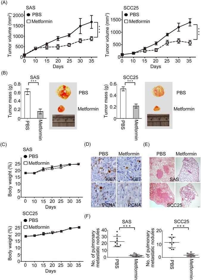 https://cdn.ncbi.nlm.nih.gov/pmc/blobs/add1/5430965/62dc3457c1cb/41598_2017_1353_Fig3_HTML.jpg