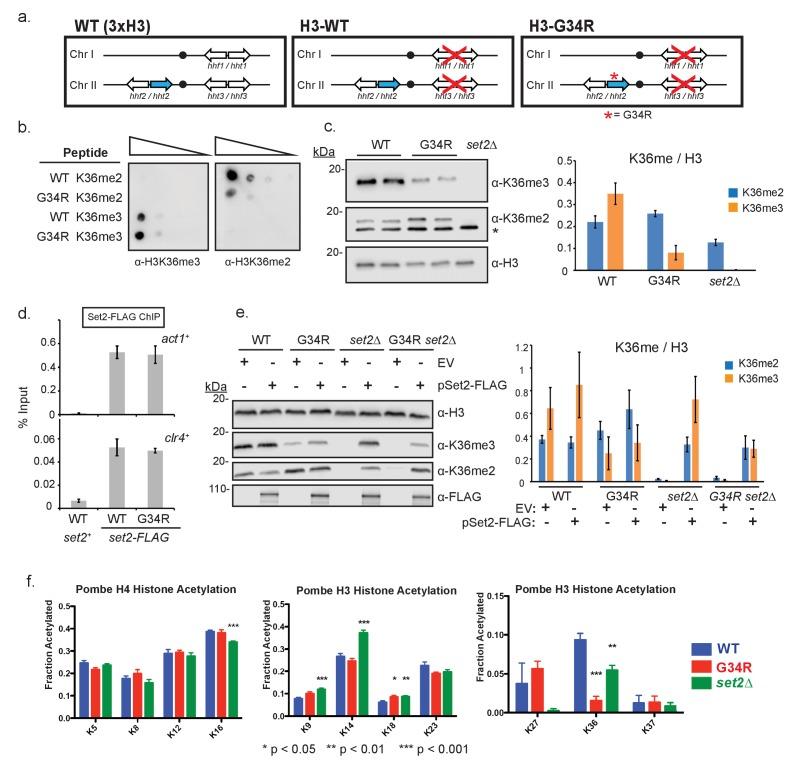 https://cdn.ncbi.nlm.nih.gov/pmc/blobs/add1/5515577/6f73a255831b/elife-27406-fig1.jpg