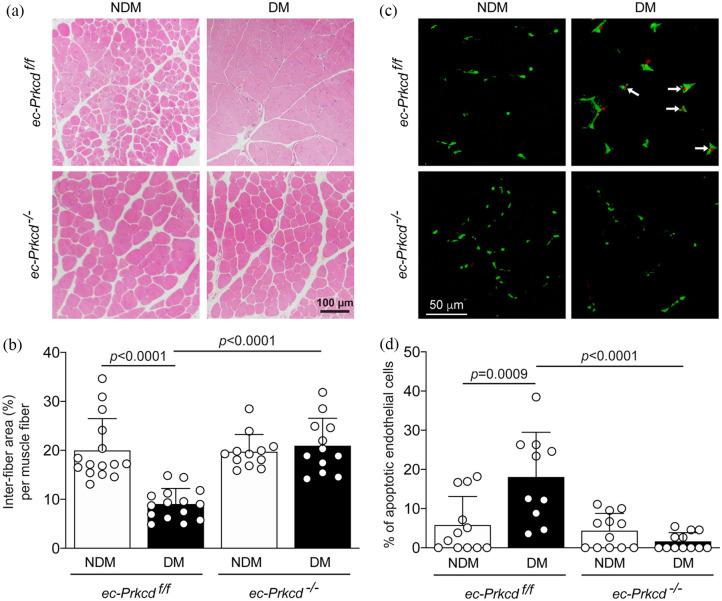 https://cdn.ncbi.nlm.nih.gov/pmc/blobs/add2/8481738/91b8afc0500e/10.1177_1479164121999033-fig2.jpg